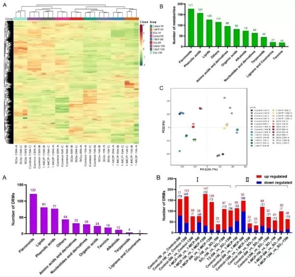 Widely targeted metabolomic analyses and differently regulated metabolites (DRMs) analyses of 27 samples of ‘Shine Muscat’ grapes.